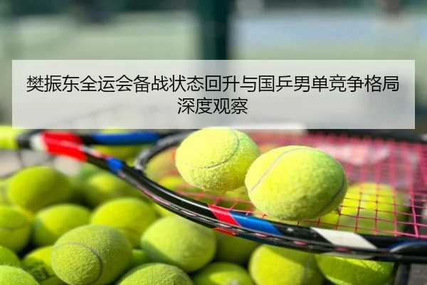 樊振东全运会备战状态回升与国乒男单竞争格局深度观察