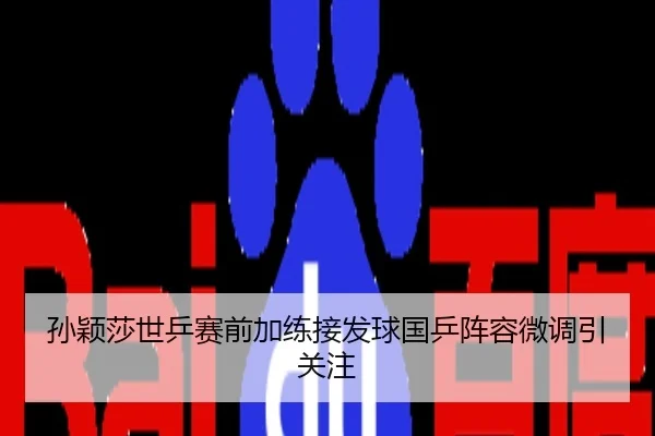 孙颖莎世乒赛前加练接发球国乒阵容微调引关注